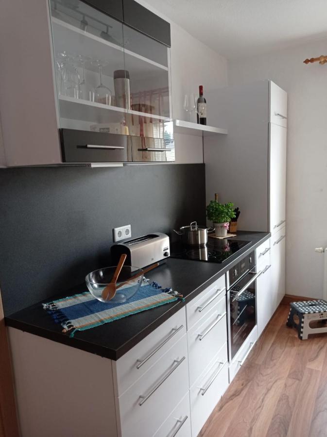 Ferienwohnung Greifenbach, Gartennutzung, Haustiere Willkommen Geyer Ngoại thất bức ảnh
