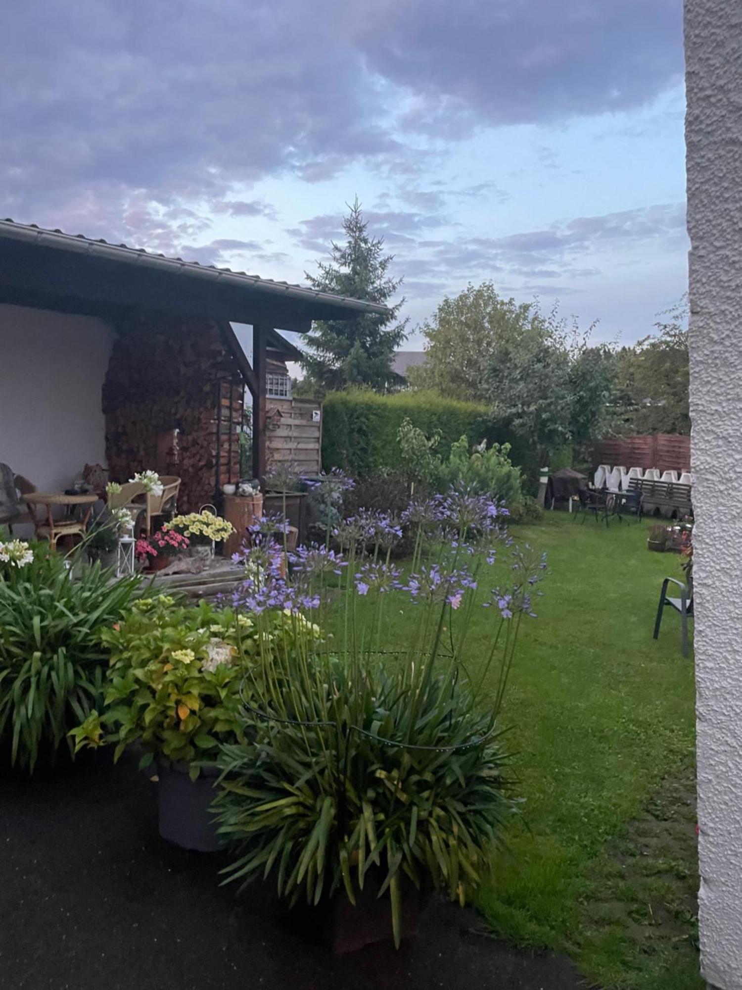 Ferienwohnung Greifenbach, Gartennutzung, Haustiere Willkommen Geyer Ngoại thất bức ảnh