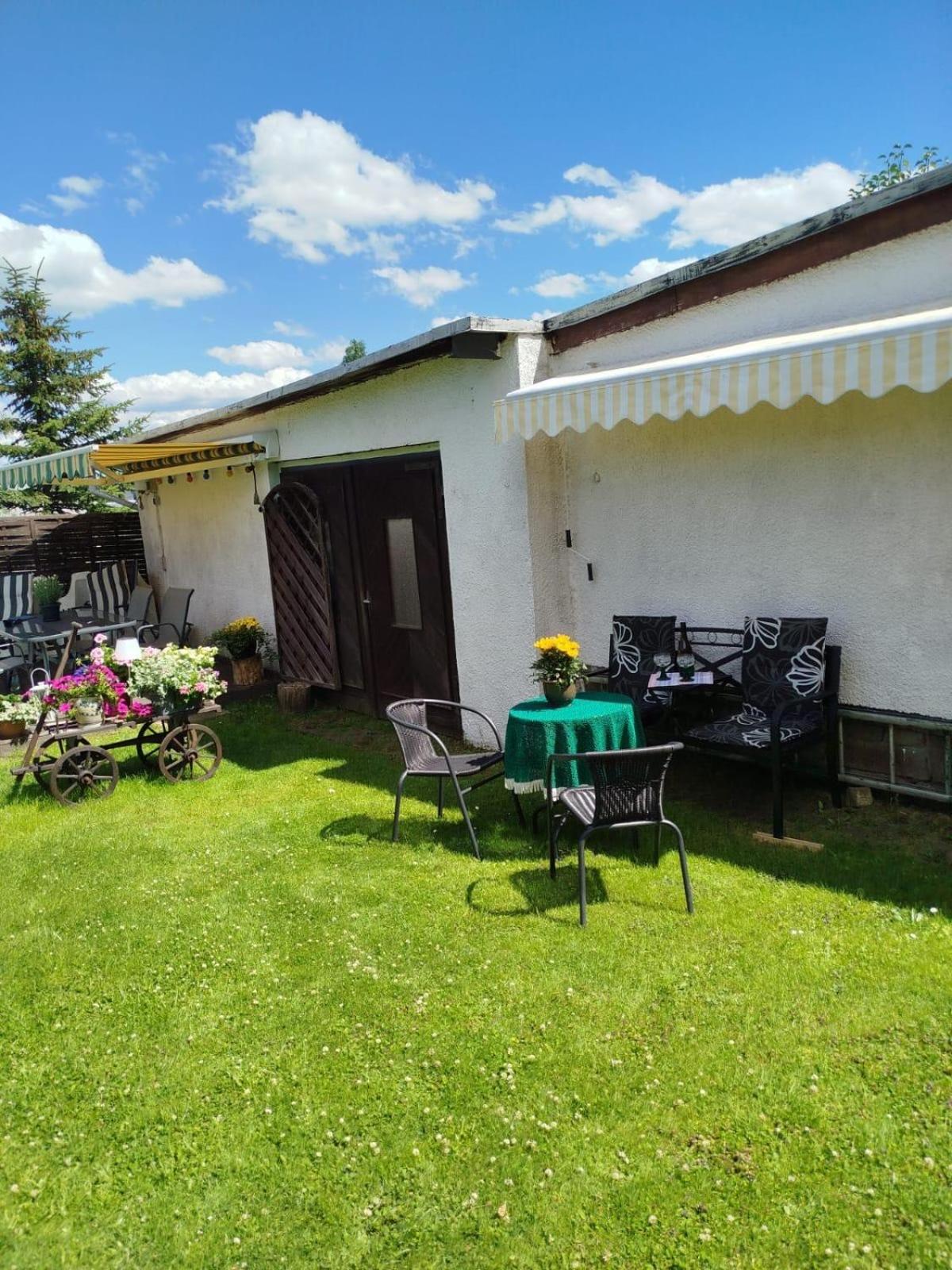 Ferienwohnung Greifenbach, Gartennutzung, Haustiere Willkommen Geyer Ngoại thất bức ảnh