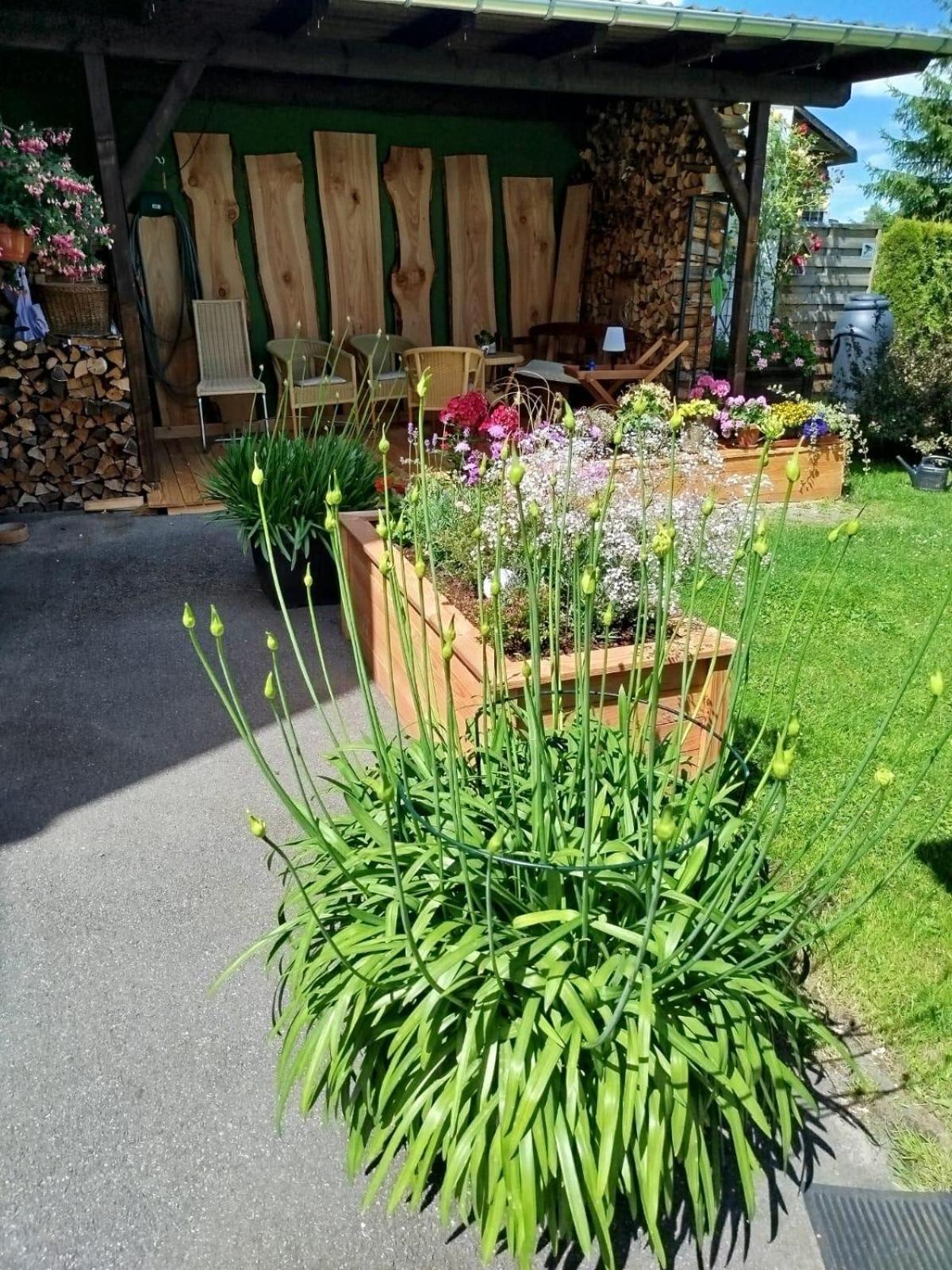 Ferienwohnung Greifenbach, Gartennutzung, Haustiere Willkommen Geyer Ngoại thất bức ảnh